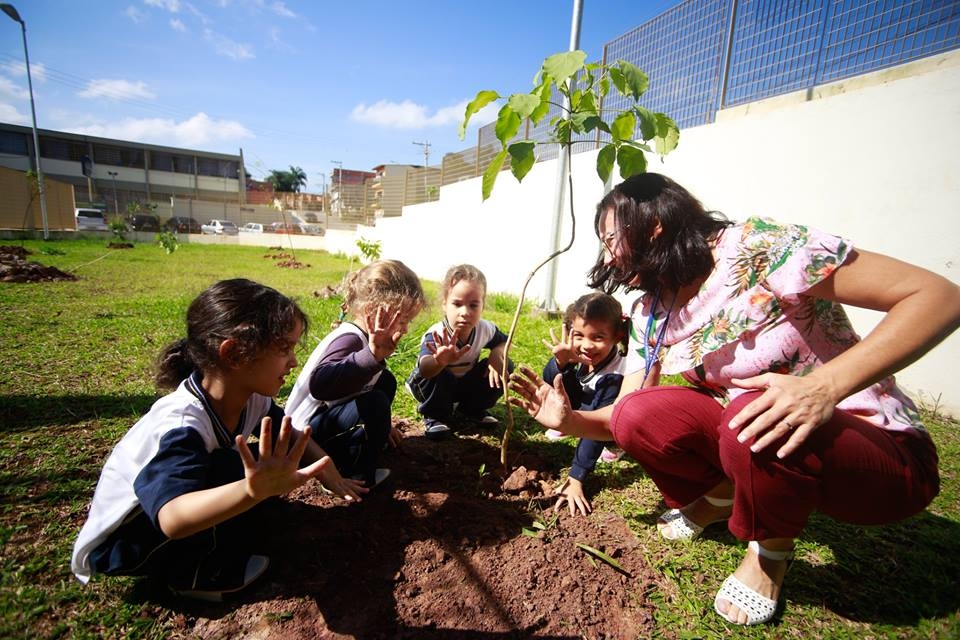 Alunos plantam 100 Mudas de árvores no jardim do Colégio Ana Serra em