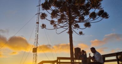 Cinco motivos para visitar Campos do Jordão ainda neste inverno