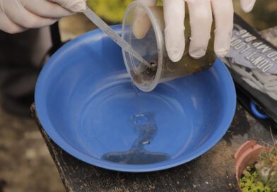 Mutirão contra a dengue acontece hoje (7) no Jardim Silveira, em Barueri