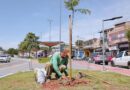 Sema promove plantio de 35 mudas nativas em praça do Jardim Belval Sema promove plantio de 35 mudas nativas em praça do Jardim Belval