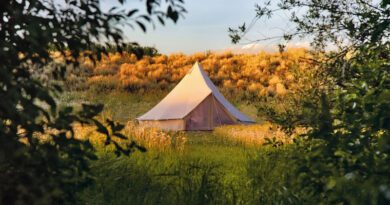 Vai fugir da folia? Descubra acomodações no Airbnb para relaxar durante o feriado