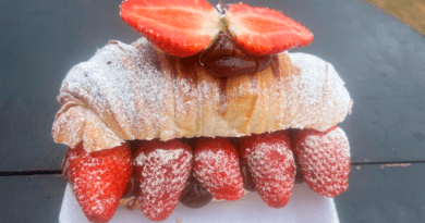 Osasco recebe a Primeira Edição do CARNAKIDS – com Festival do Morango, de 14 a 22 de fevereiro