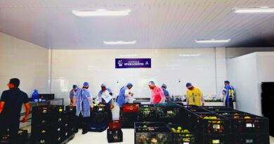 Osasco inicia entregas do Programa de Aquisição de Alimentos e reforça segurança alimentar