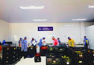 Osasco inicia entregas do Programa de Aquisição de Alimentos e reforça segurança alimentar