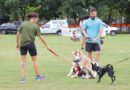 Cãominhada em Barueri é remarcada para 21 de março no Parque da Juventude Cãominhada em Barueri é remarcada para 21 de março no Parque da Juventude