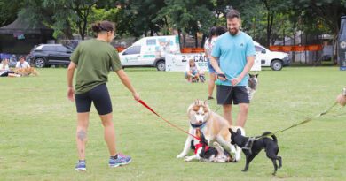 Cãominhada em Barueri é remarcada para 21 de março no Parque da Juventude Cãominhada em Barueri é remarcada para 21 de março no Parque da Juventude