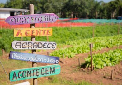 Programa ReNascer recebe nova equipe e fortalece reinserção social em Barueri Programa ReNascer recebe nova equipe e fortalece reinserção social em Barueri