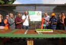 Osasco inaugura 1º Núcleo de Compostagem e Produção Agroecológica