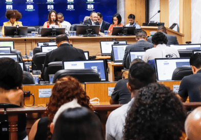 Câmara de Osasco aprova programa de socorro a animais atropelados