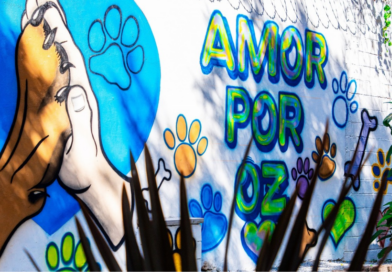 Praça em Quitaúna é revitalizada e ganha espaço pet Praça em Quitaúna é revitalizada e ganha espaço pet