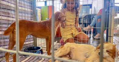 Feira de adoção de cães e gatos acontece no Ita Shopping Centro no sábado (11) Feira de adoção de cães e gatos acontece no Ita Shopping Centro no sábado (11)