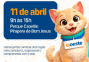 CIOESTE realiza primeiro Pet Day intermunicipal em Pirapora do Bom Jesus CIOESTE realiza primeiro Pet Day intermunicipal em Pirapora do Bom Jesus