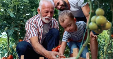 Osasco inaugura primeiro Núcleo de Compostagem e Produção Agroecológica