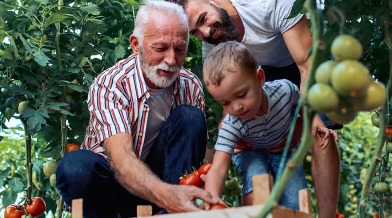 Osasco inaugura primeiro Núcleo de Compostagem e Produção Agroecológica