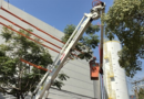 Enel lança projeto Árvore Mais Segura em Barueri