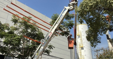 Enel lança projeto Árvore Mais Segura em Barueri