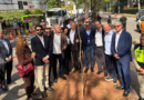 Barueri é a primeira cidade a receber projeto piloto “Árvore Mais Segura” em parceria com a Enel Brasil