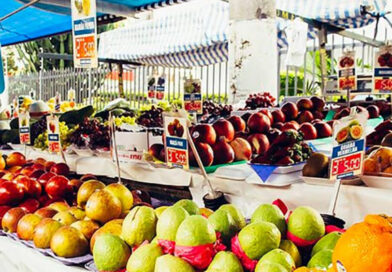 Câmara aprova proposta que moderniza feiras livres em Osasco