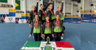 Osasco obtém 19 medalhas na Taça São Paulo de Ginástica Artística Osasco obtém 19 medalhas na Taça São Paulo de Ginástica Artística