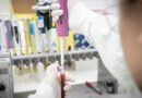 Governo de SP descarta caso suspeito de Ebola após exames confirmarem meningite meningocócica Governo de SP descarta caso suspeito de Ebola após exames confirmarem meningite meningocócica