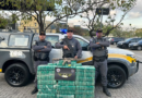 Polícia Rodoviária prende motorista com 257 kg de pasta base de cocaína e fuzil na Castello Branco, em São Roque