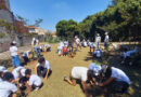 Osasco lança manual de boas práticas e consolida experiência com implantação de mini pomares urbanos