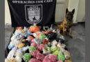Cão farejador da PM encontra drogas enterradas durante operação em Osasco Cão farejador da PM encontra drogas enterradas durante operação em Osasco