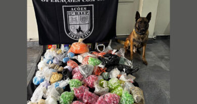 Cão farejador da PM encontra drogas enterradas durante operação em Osasco