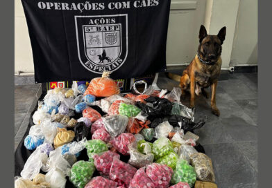 Cão farejador da PM encontra drogas enterradas durante operação em Osasco