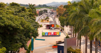 Barueri amplia ações sustentáveis para reduzir impactos das mudanças climáticas Barueri amplia ações sustentáveis para reduzir impactos das mudanças climáticas