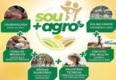 Férias no campo: Itu recebe festival com entrada gratuita, Texas Longhorn, cavalos, churrasco e atrações para toda a família