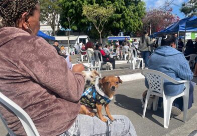 Programa Saúde Animal atende gratuitamente 250 cães e gatos no Jardim Belval, em Barueri Programa Saúde Animal atende gratuitamente 250 cães e gatos no Jardim Belval, em Barueri