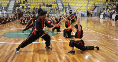 Graduação das Artes Marciais reúne 480 alunos e 1,5 mil pessoas em Barueri Graduação das Artes Marciais reúne 480 alunos e 1,5 mil pessoas em Barueri