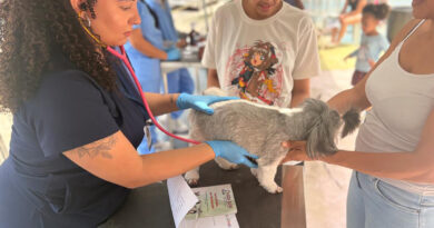 Barueri oferece atendimento veterinário gratuito no Jardim Silveira neste sábado (26)
