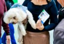 Osasco inicia Censo Animal com emissão de RG