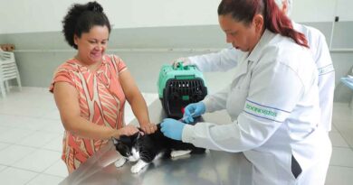 Dia Mundial Contra a Raiva reforça importância da prevenção e vacinação de cães e gatos Dia Mundial Contra a Raiva reforça importância da prevenção e vacinação de cães e gatos