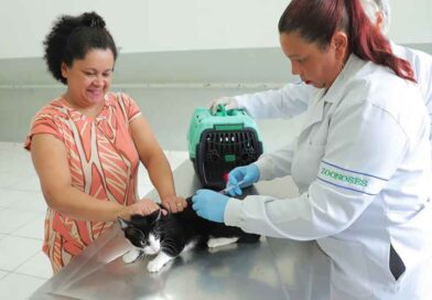 Dia Mundial Contra a Raiva reforça importância da prevenção e vacinação de cães e gatos Dia Mundial Contra a Raiva reforça importância da prevenção e vacinação de cães e gatos