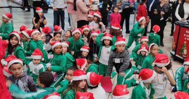 Osasco Plaza Shopping inaugura Natal no Bosque Encantado com chegada do Papai Noel em 30 de outubro