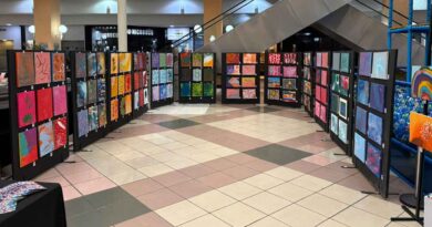 CER Burjato promove exposição sobre inclusão no Osasco Plaza Shopping