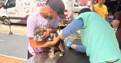 Barueri oferece atendimento veterinário gratuito no Jardim Paulista neste sábado (17) Barueri oferece atendimento veterinário gratuito no Jardim Paulista neste sábado (17)