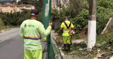 Cotia intensifica serviços de zeladoria, limpeza e manutenção em bairros da cidade Cotia intensifica serviços de zeladoria, limpeza e manutenção em bairros da cidade